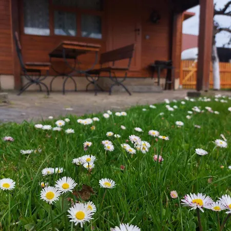 Stary Bar Holiday home Piecki (Warmian-Masurian)
